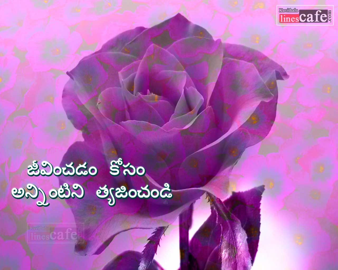 Motivational Telugu Kavithalu On Life Kavithalu Linescafe Com